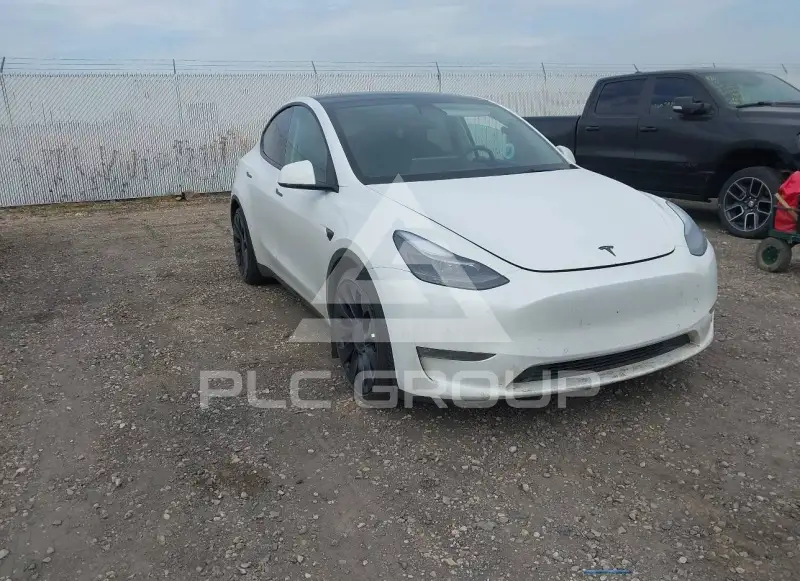 2022 Tesla Model Y фото