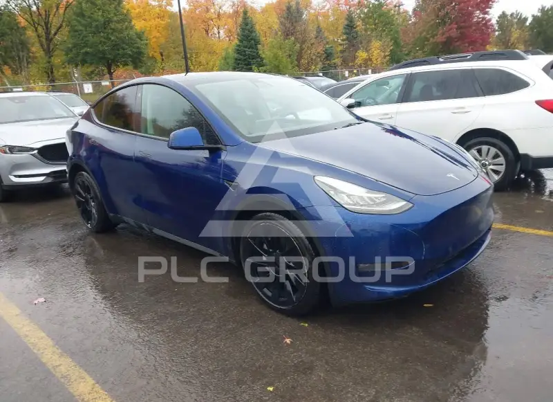 2022 Tesla Model Y photo