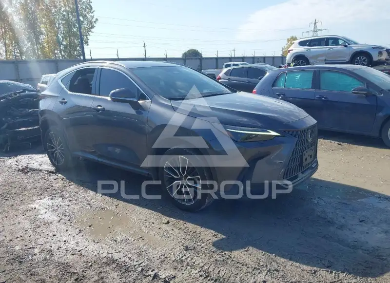 2022 Lexus NX450 photo