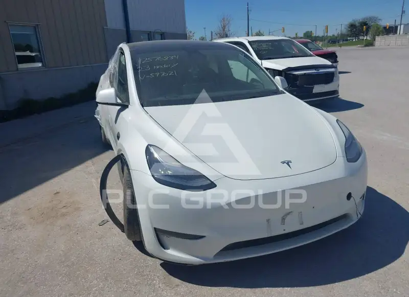 2023 Tesla Model Y фото
