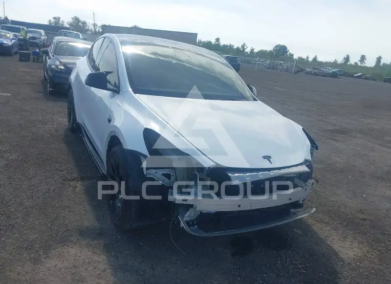 2023 Tesla Model Y photo