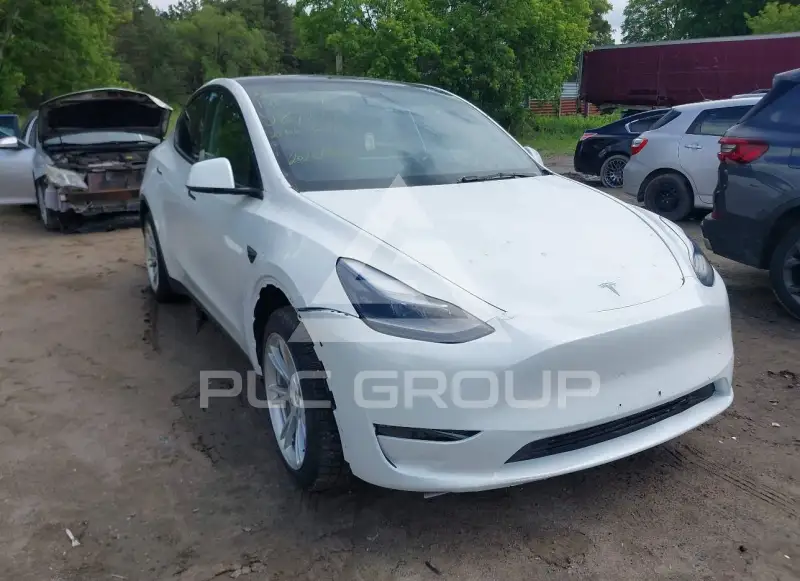 2023 Tesla Model Y фото
