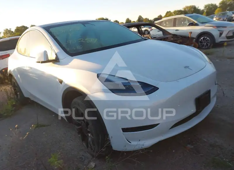 2023 Tesla Model Y фото