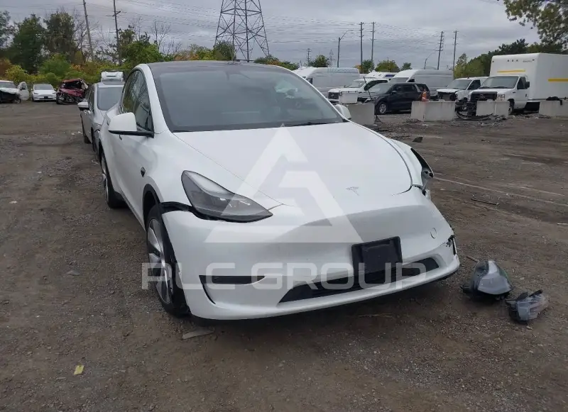 2023 Tesla Model Y photo