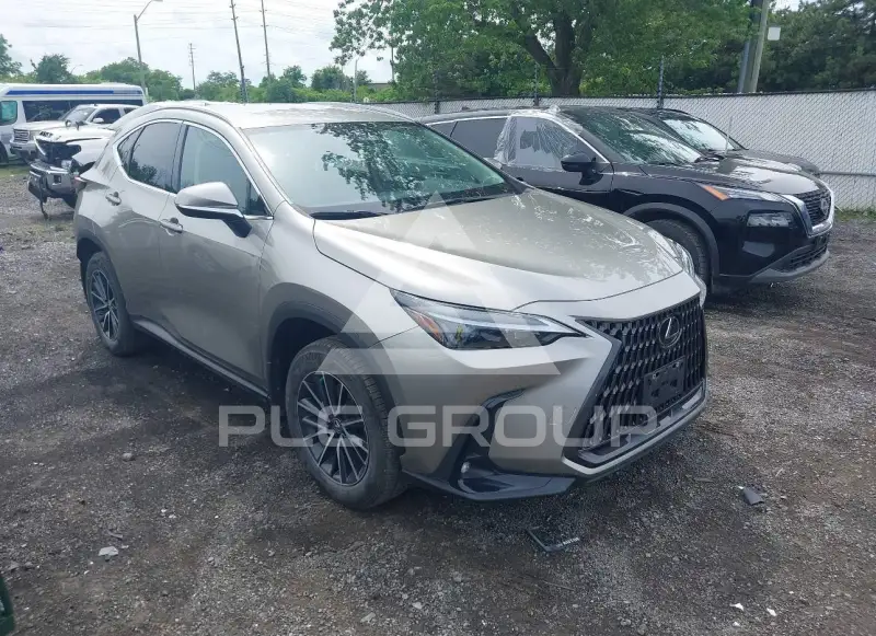 2023 Lexus NX250 фото