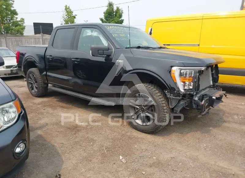 2023 Ford F-150 photo