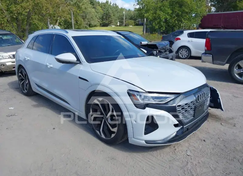 2024 Audi E-TRON photo