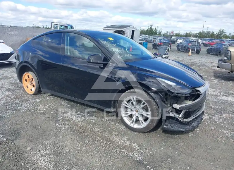 2024 Tesla Model Y фото