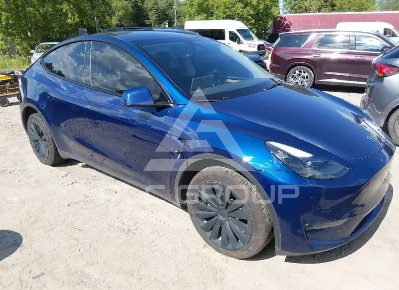2024 Tesla Model Y фото