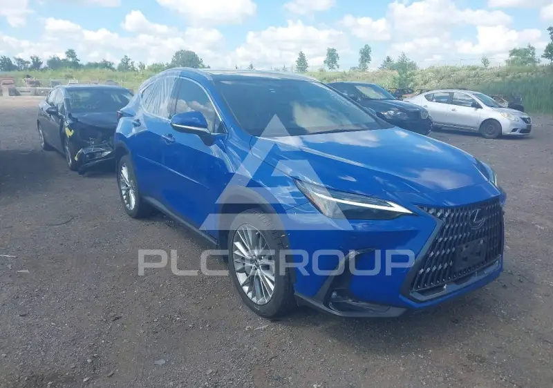 2024 Lexus NX250 фото