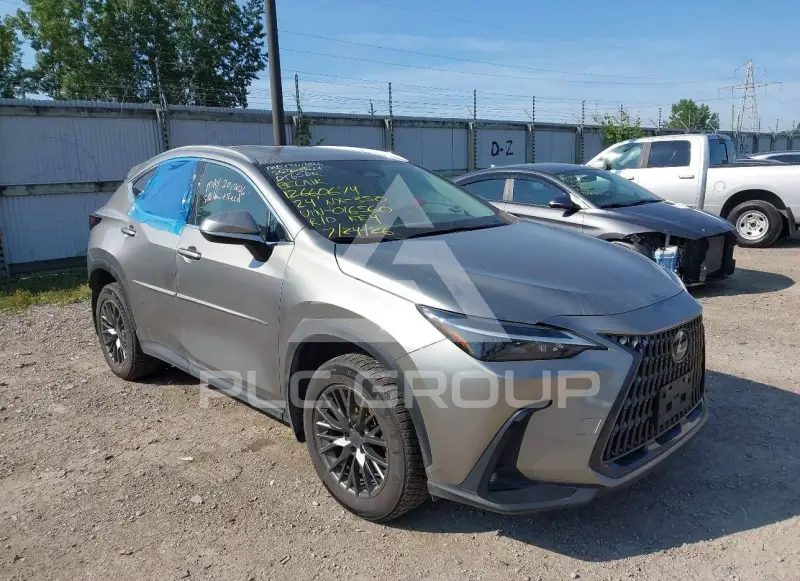 2024 Lexus NX250 фото