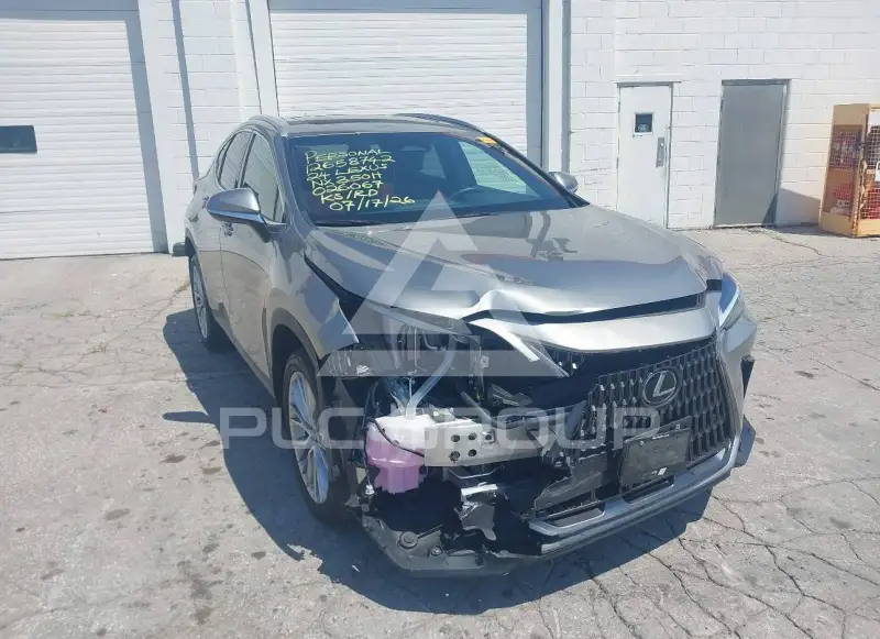 2024 Lexus NX250 photo