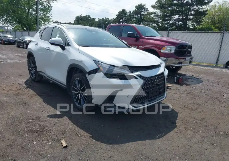 2024 Lexus NX250 фото
