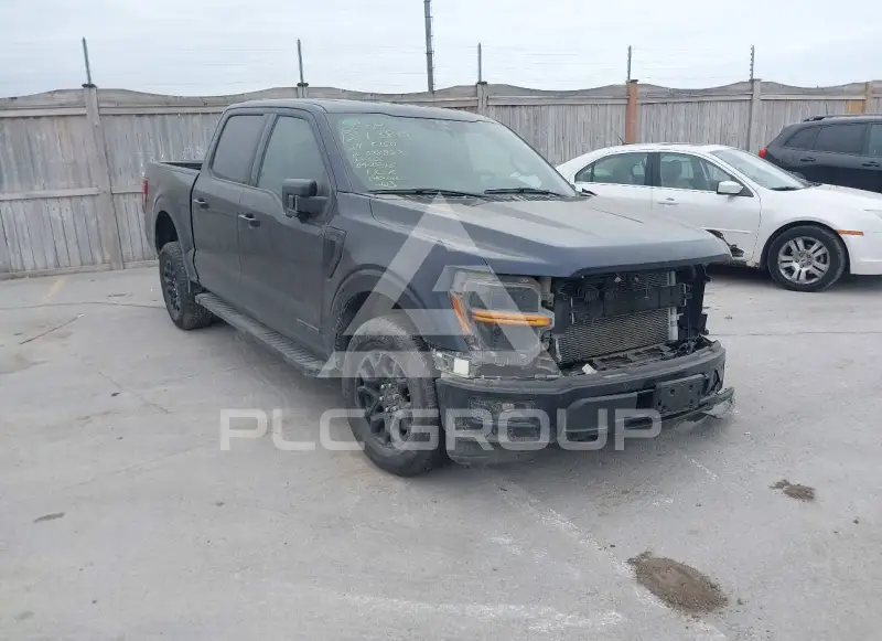 2024 Ford F-150 photo