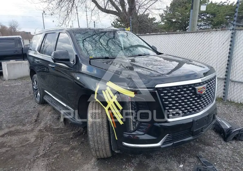 2025 Cadillac ESCALADE фото