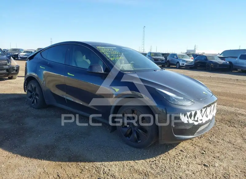 2025 Tesla Model Y фото