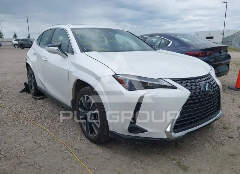 2025 Lexus UX фото