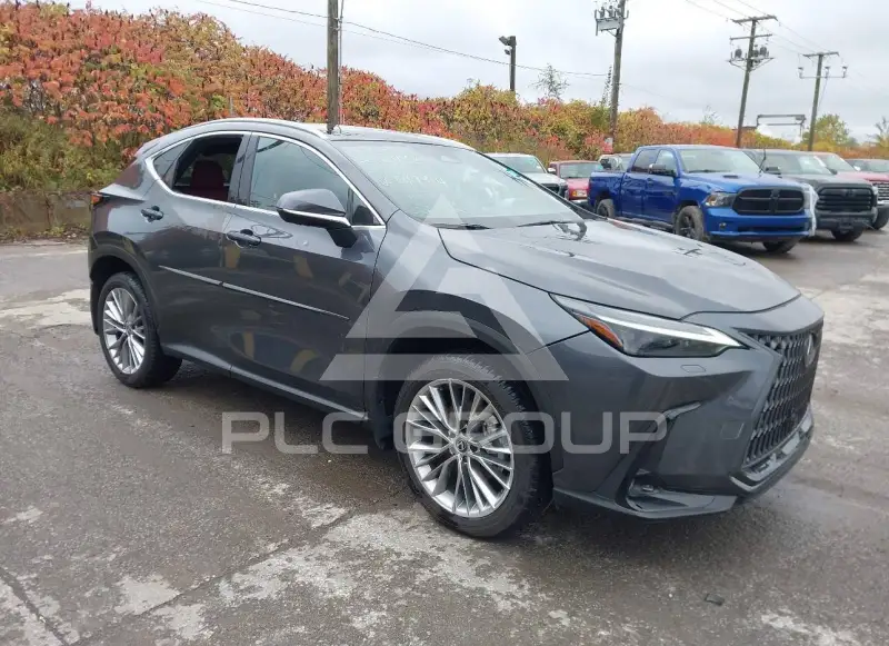 2025 Lexus NX250 фото