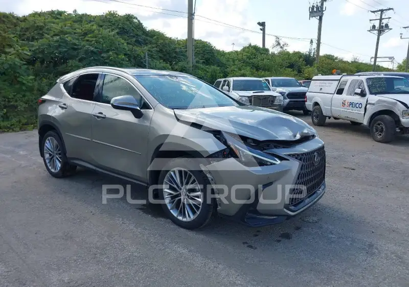 2025 Lexus NX250 фото