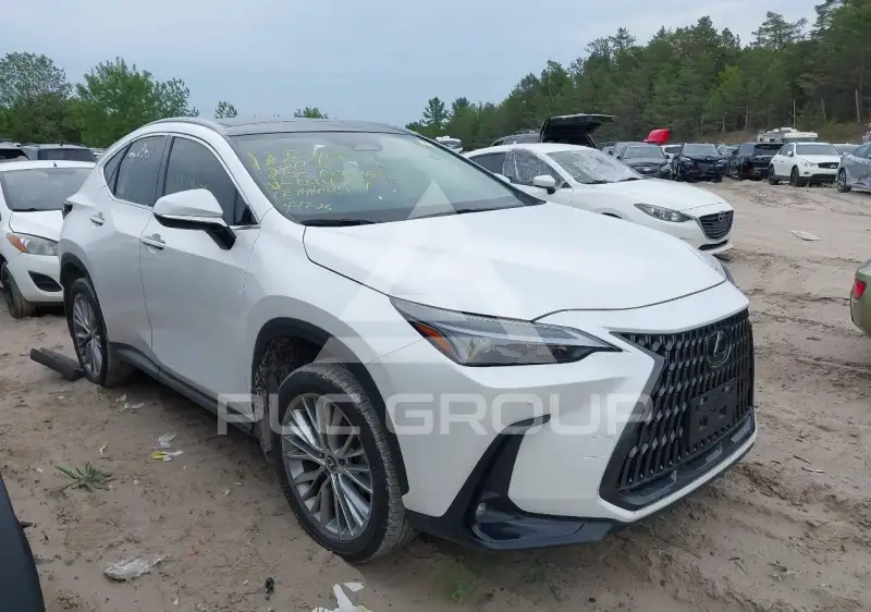 2025 Lexus NX250 фото