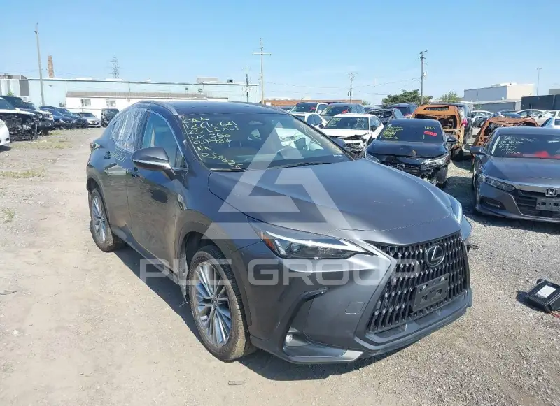 2025 Lexus NX250 фото