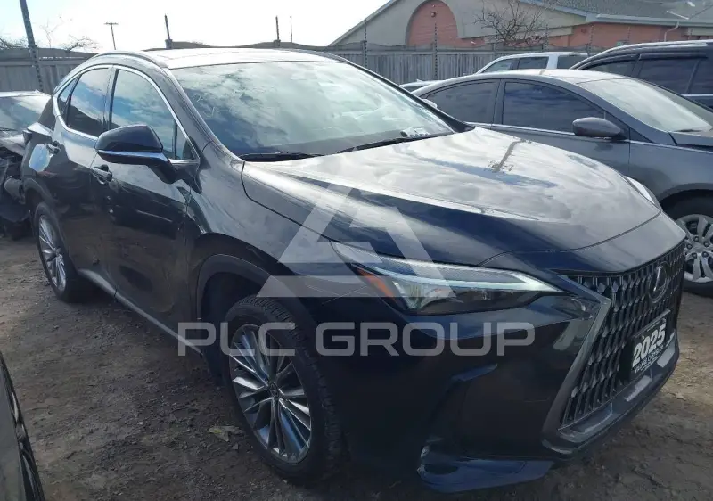 2025 Lexus NX250 фото