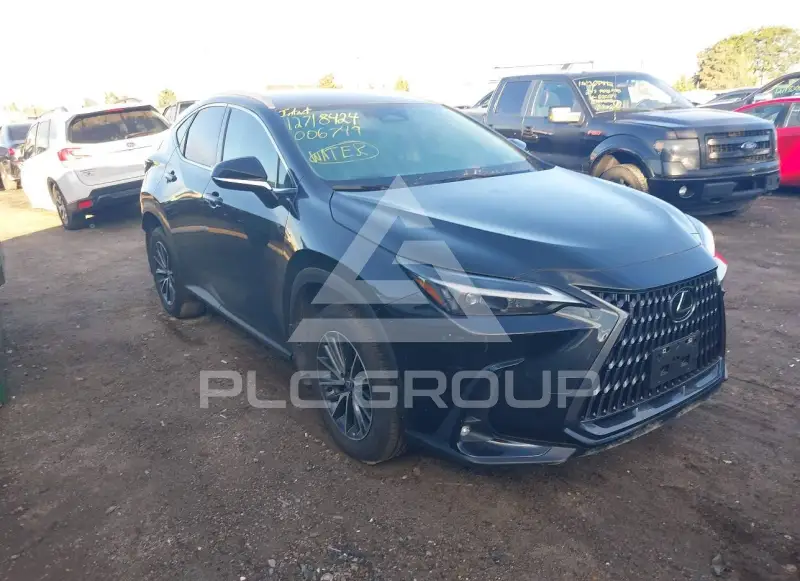 2025 Lexus NX250 photo