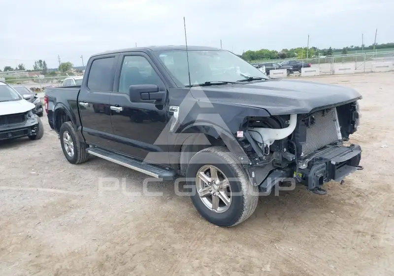 2025 Ford F-150 фото