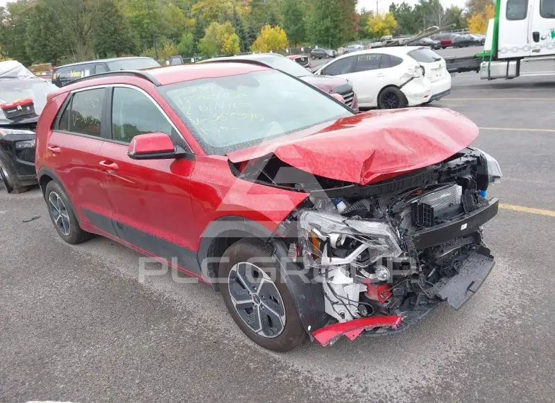2026 KIA Niro фото