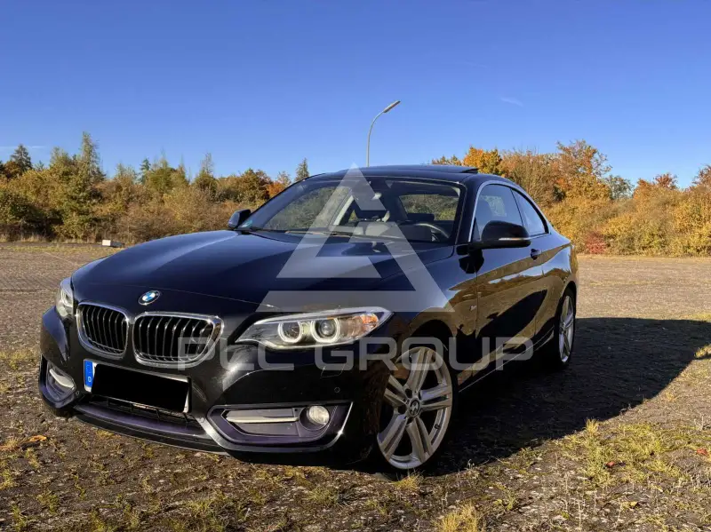 2016 BMW 230