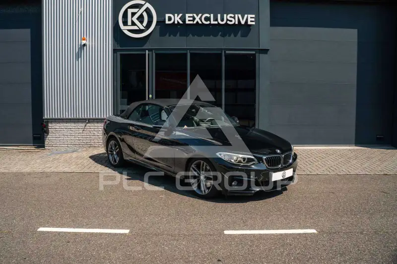 2016 BMW 220