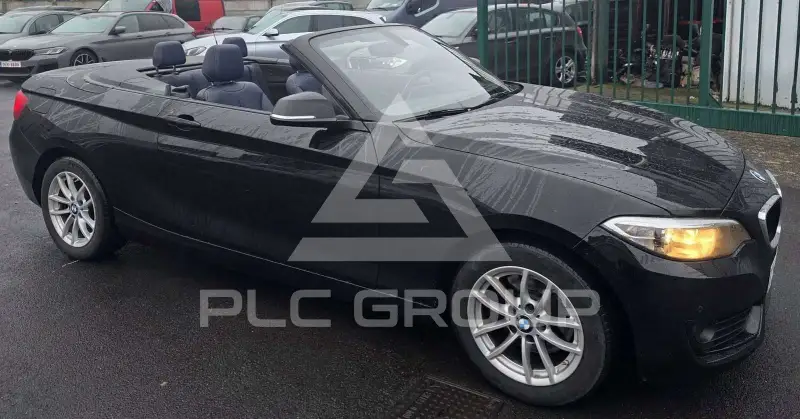 2016 BMW 220