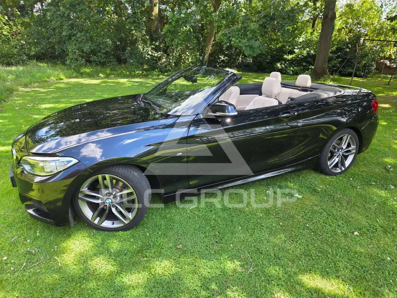 2016 BMW 220
