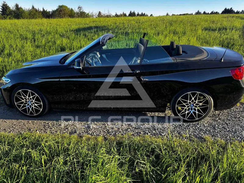 2016 BMW 220