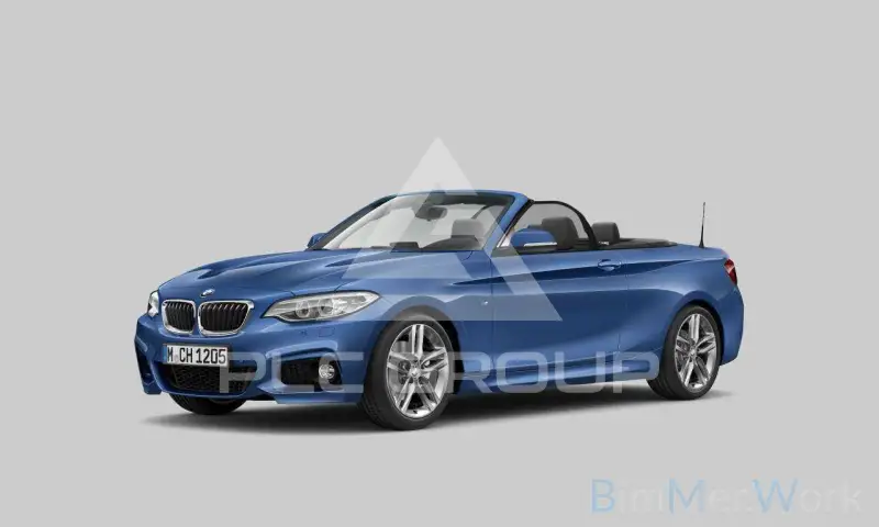 2016 BMW 220