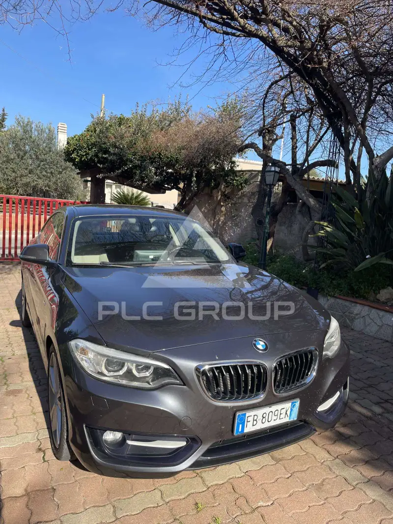 2016 BMW 220