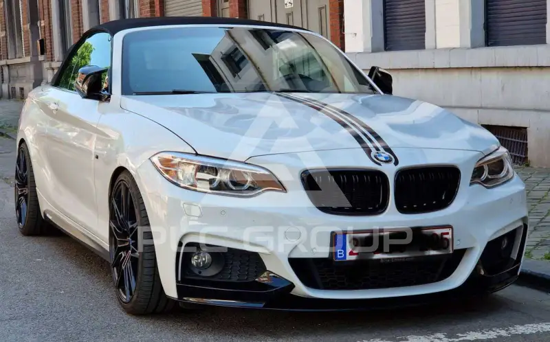2016 BMW 220