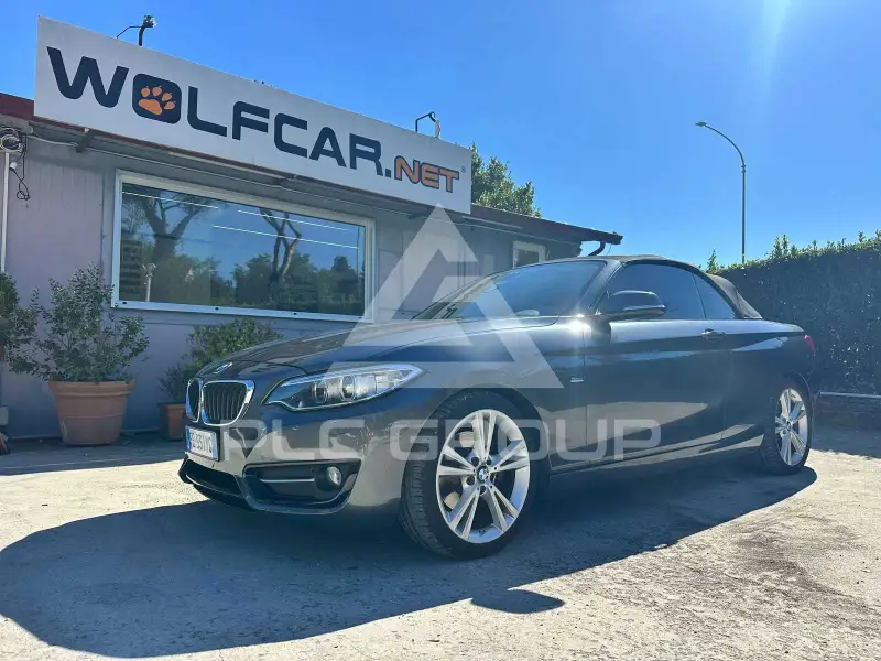 2016 BMW 220