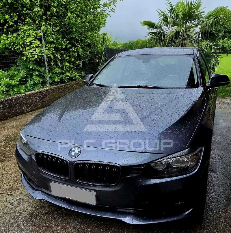 2016 BMW 316