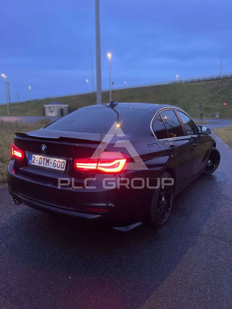 2016 BMW 316