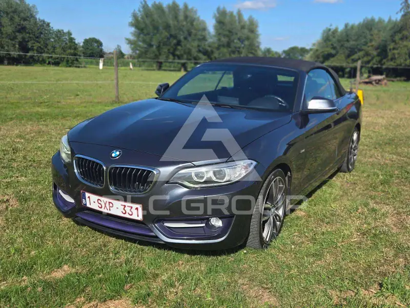 2016 BMW 218