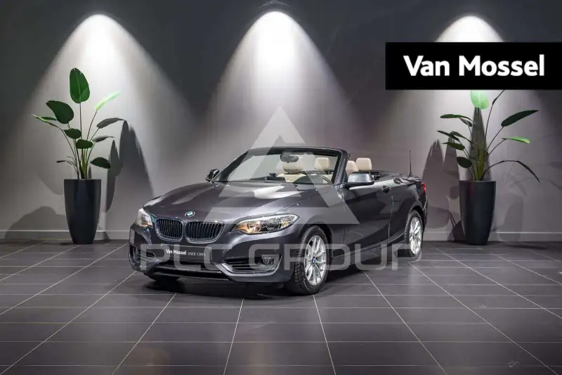 2016 BMW 218