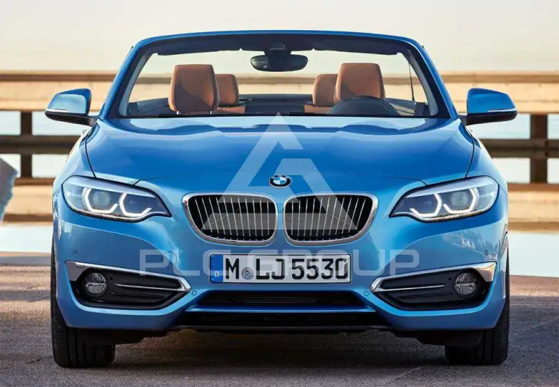 2016 BMW 218