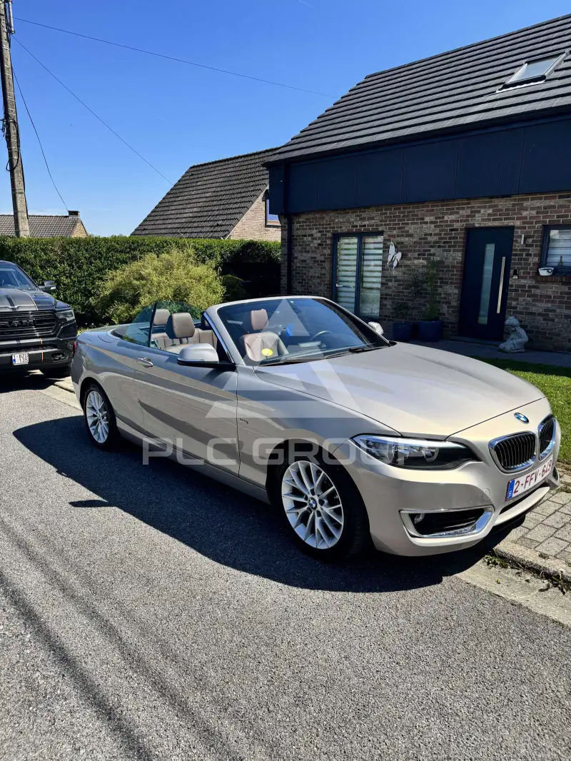 2016 BMW 218