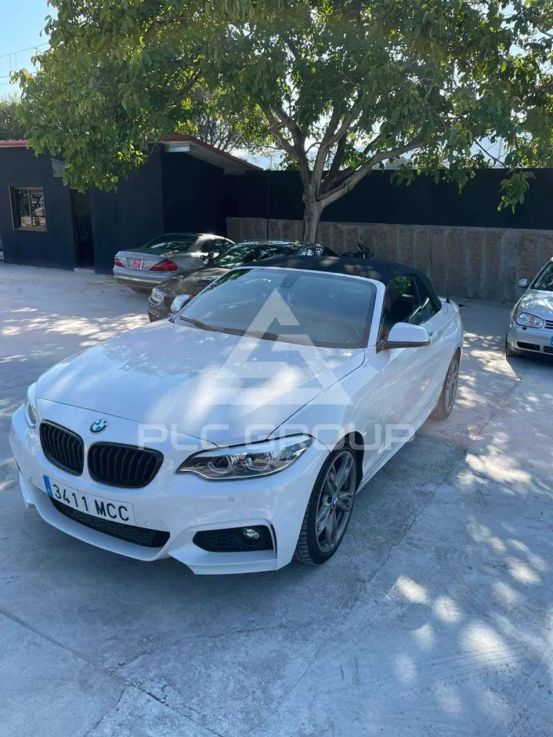2016 BMW 228