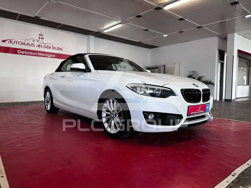 2016 BMW 228