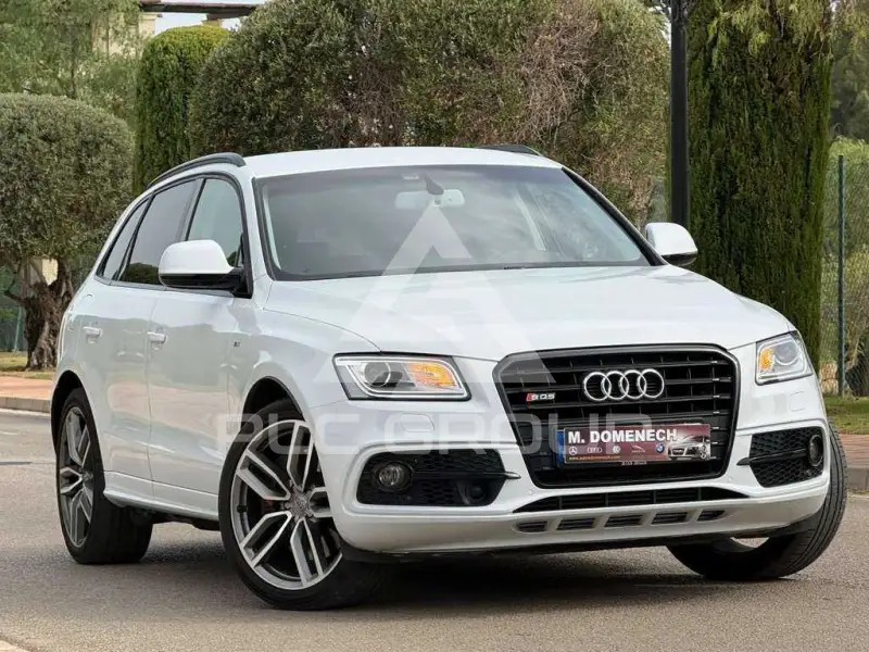 2016 Audi SQ5