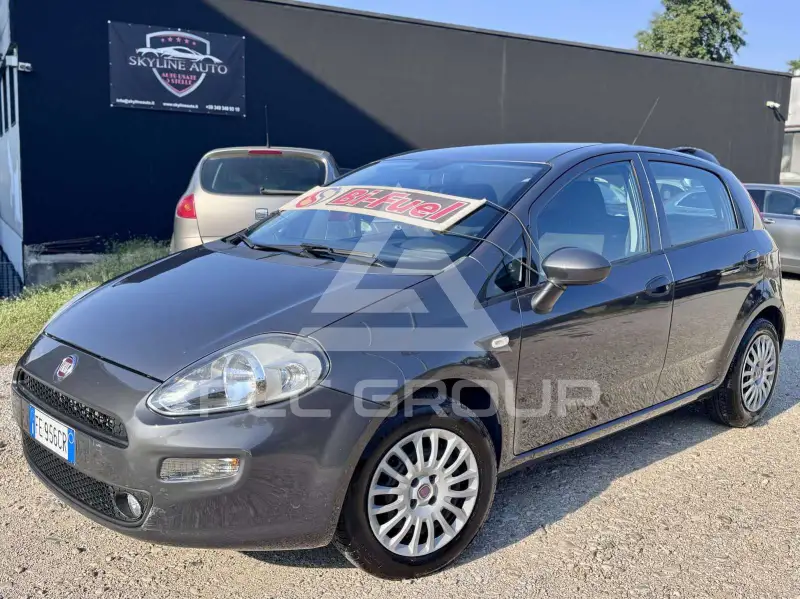 2016 Fiat Punto