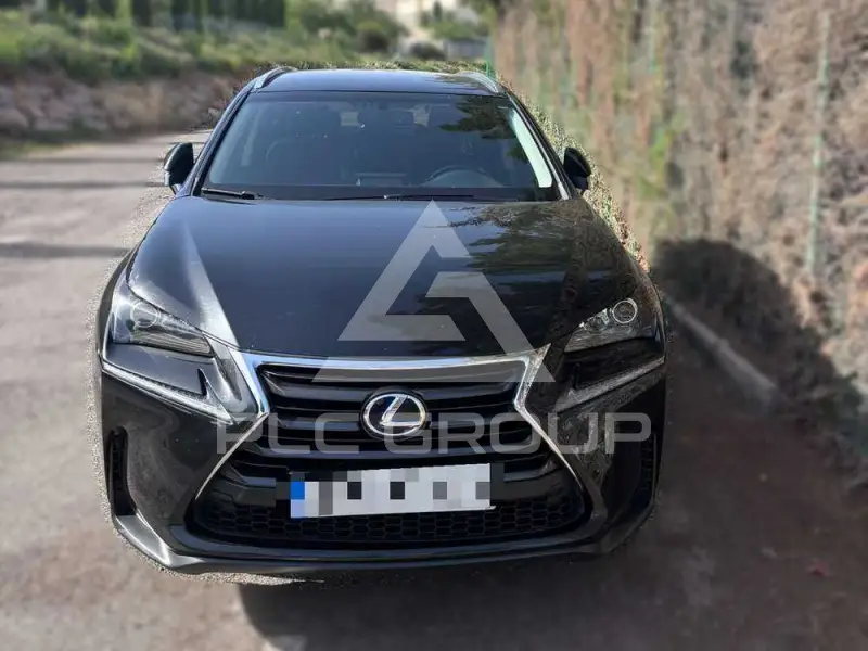 2016 Lexus NX300