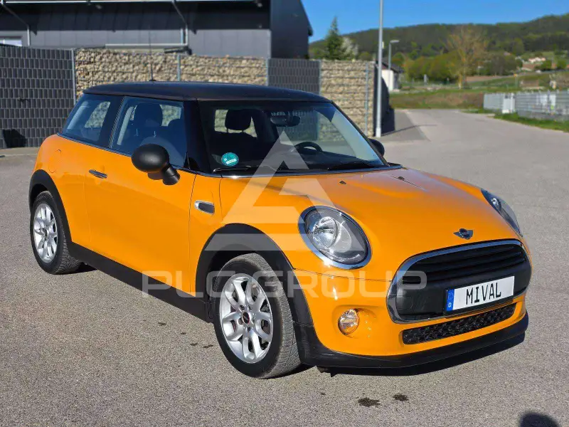 2016 Mini Unknown
